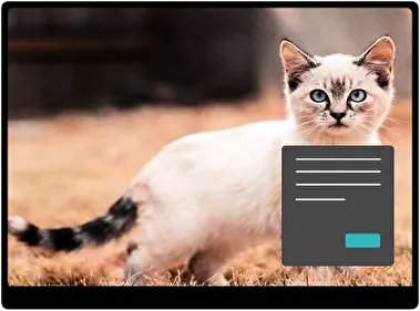 Kitten Dark theme for Windows 11