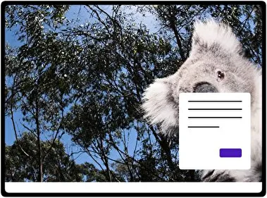 Koala theme for Windows 11