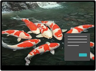 Koi Dark theme for Windows 11