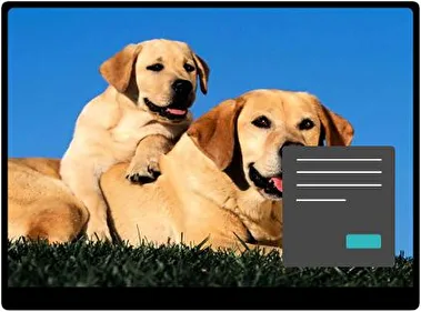 Labrador Retriever Dark theme for Windows 11