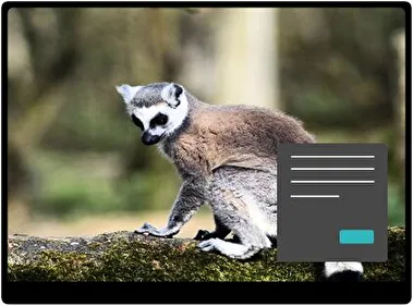 Lemur Dark theme for Windows 11