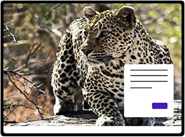 Leopard theme for Windows 11