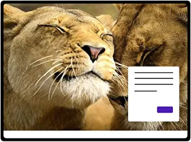 Lion theme for Windows 11