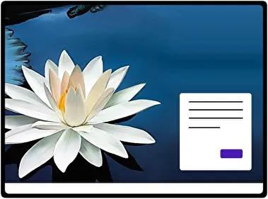 Lotus Flower theme for Windows 11