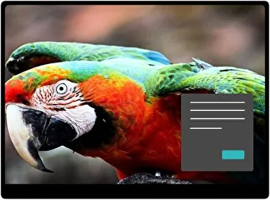 Macaw Dark theme for Windows 11