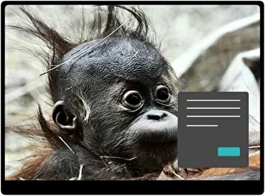 Monkey Dark theme for Windows 11