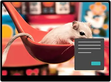 Mouse Dark theme for Windows 11