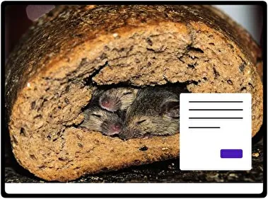 Mouse theme for Windows 11