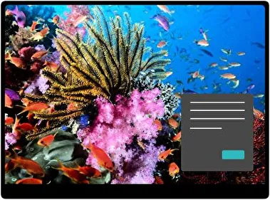 Ocean Life Dark theme for Windows 11