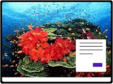 Ocean Life theme for Windows 11