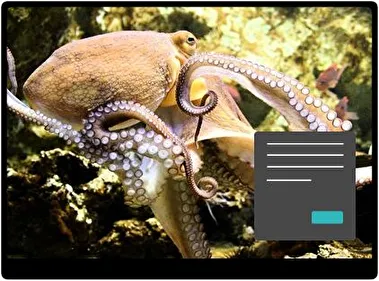 Octopus Dark theme for Windows 11