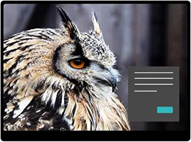 Owl Dark theme for Windows 11