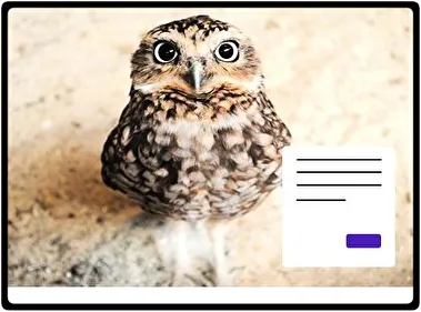 Owl theme for Windows 11