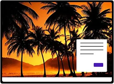 Palm Tree theme for Windows 11