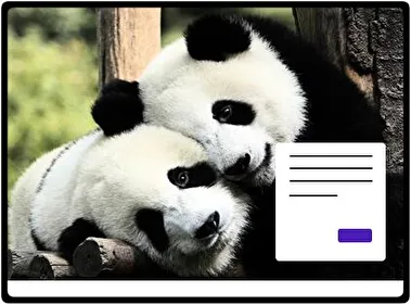 Panda theme for Windows 11