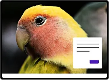 Parrot theme for Windows 11