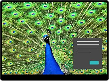 Peafowl Dark theme for Windows 11