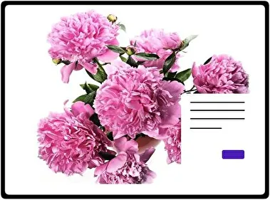 Peony theme for Windows 11