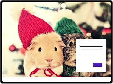 Pet Guinea Pigs theme for Windows 11