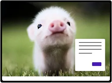 Piga theme for Windows 11