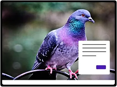 Pigeon theme for Windows 11