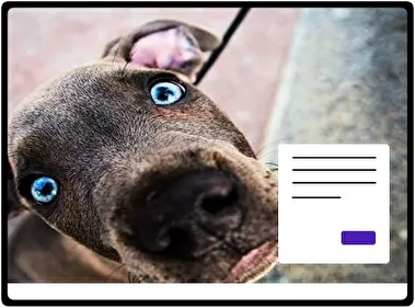 Pitbull theme for Windows 11