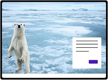 Polar Bear theme for Windows 11