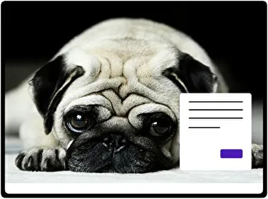 Pug theme for Windows 11