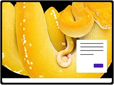 Python theme for Windows 11