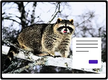 Raccoon theme for Windows 11