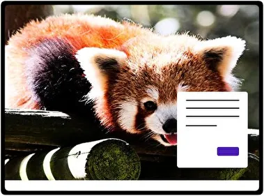 Red Panda theme for Windows 11