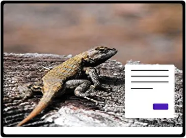 Reptilef theme for Windows 11