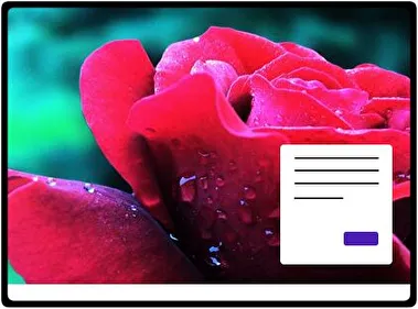 Rose theme for Windows 11