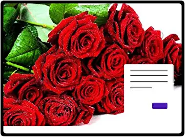 Roses theme for Windows 11