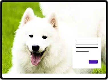 Samoyed theme for Windows 11