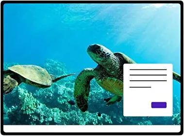 Sea Turtle theme for Windows 11