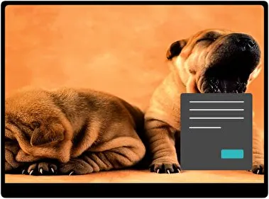 Shar Pei Dark theme for Windows 11