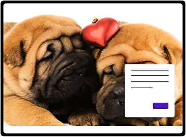 Shar Pei theme for Windows 11