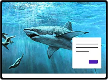 Shark theme for Windows 11