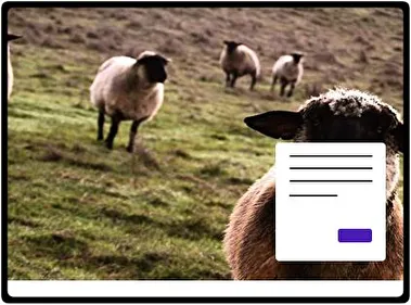 Sheep theme for Windows 11