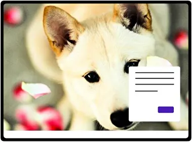 Shiba Inu theme for Windows 11