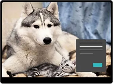 Siberian Husky Dark theme for Windows 11