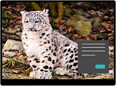 Snow Leopard Dark theme for Windows 11