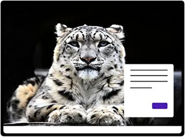 Snow Leopard theme for Windows 11