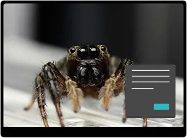 Spider Dark theme for Windows 11