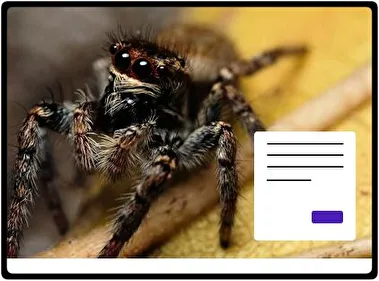 Spider theme for Windows 11