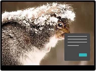 Squirrel Dark theme for Windows 11