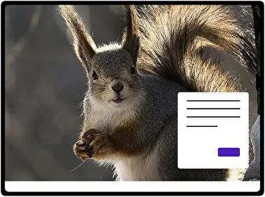 Squirrel theme for Windows 11