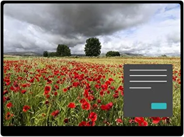 Summer Flowers Dark theme for Windows 11