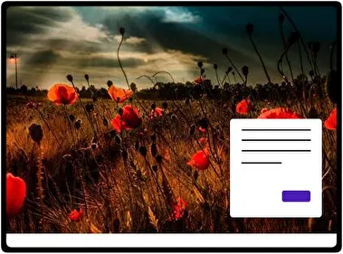 Summer Flowers theme for Windows 11